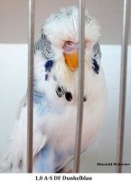 2010 018.png